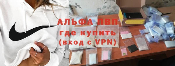 индика Балабаново