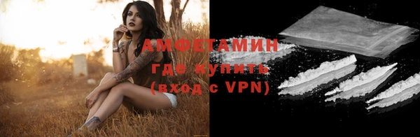 индика Балабаново