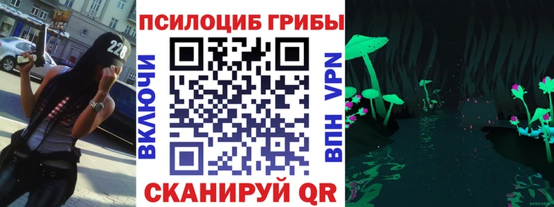 наркошоп Кашин Псилоцибиновые грибы MAGIC MUSHROOMS